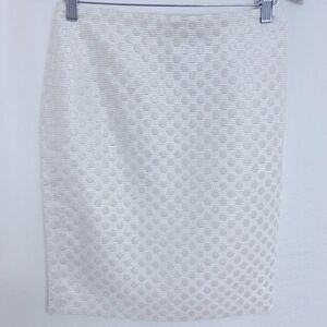 Ann Taylor Women’s Cream Gold Glitter Polka Dots Pencil Skirt Lined Sz P…